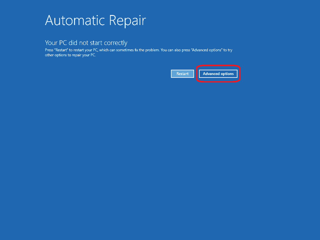 automatic repair advanced options